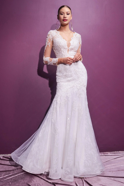 Elegant Lace Long Sleeve Wedding Dress Sequins Long Sleeves V-Neck Gown